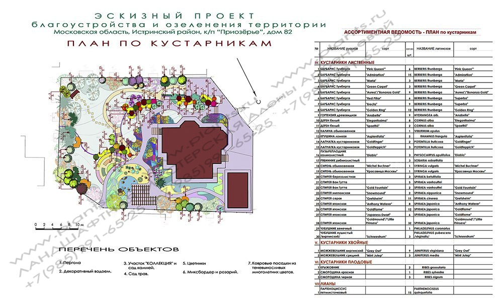 Проект участка 12 соток - ПЛАН по кустарникам